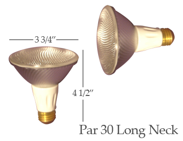 Par 30 Long Neck Light