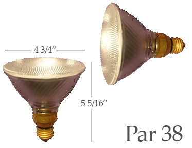 Par 38 Light